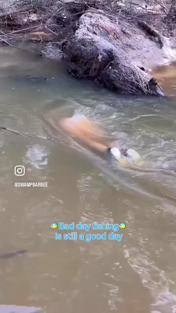 tiktok free porn video #81991