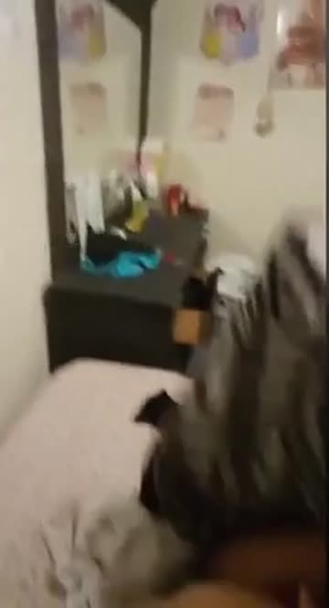 cuckold orgasm bbc xxx video