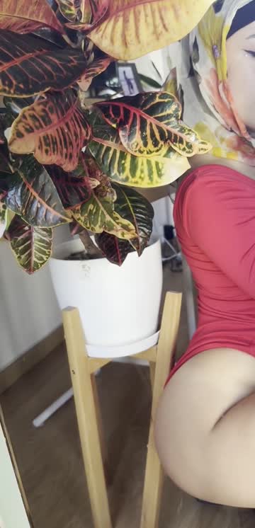 amateur ass big tits 