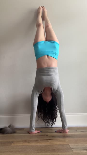 babe fitness fit 