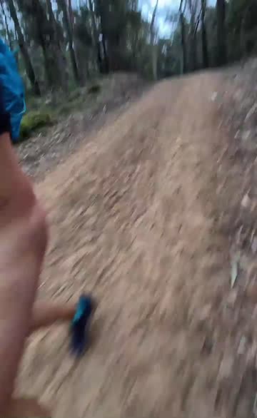 exhibitionism nudist public porn video
