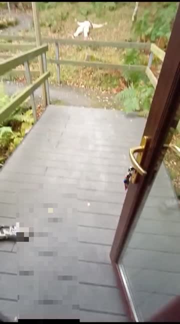 outdoor femdom fitfemdom 