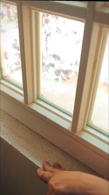 tiktok sex video #83695