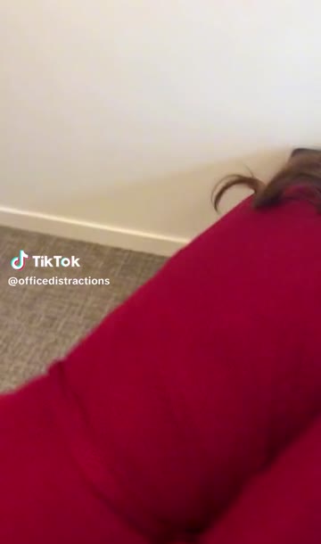 tiktok  #14132