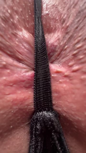 asshole assholebehindthong big ass ass sex video