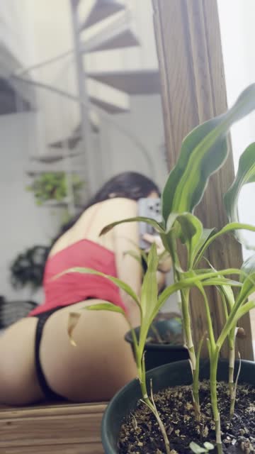 amateur ass big ass 