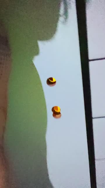 party big ass r/caughtpublic 