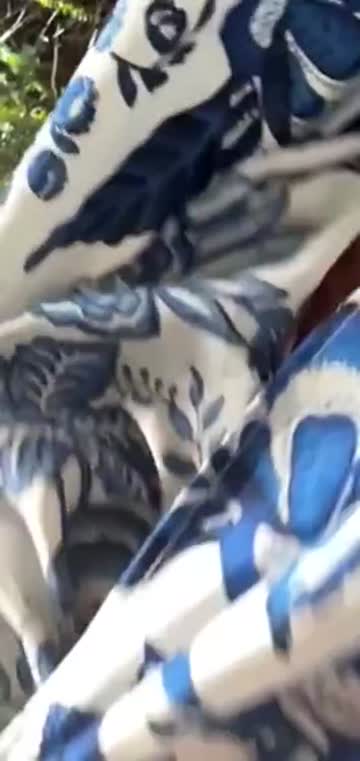 cock big dick big tits xxx video