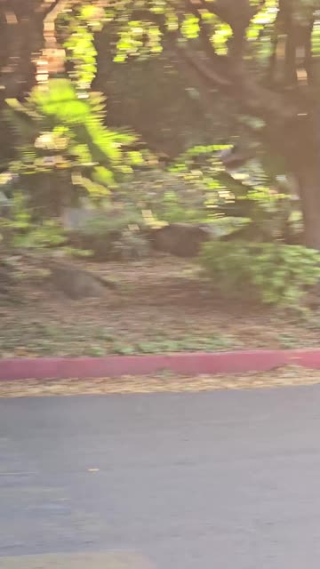 flashing nudist exposed r/exposedtostrangers exhibitionism 