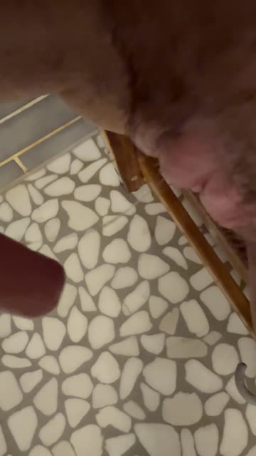 tiktok porn video #83196