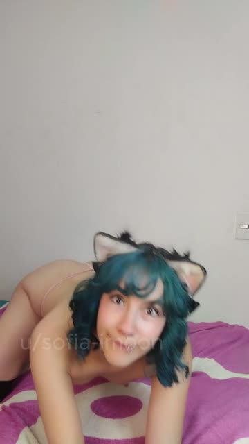 petplay submissive catgirl r/catgirls petite small tits nsfw video