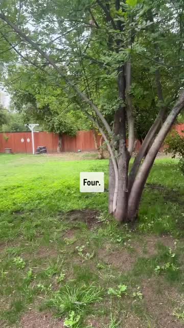 tiktok nsfw video #76168