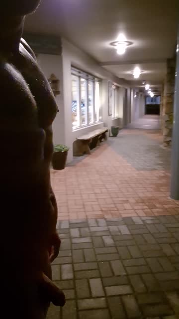 walking public naked xxx video