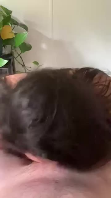 cum blowjob homemade hairy armpits free porn video