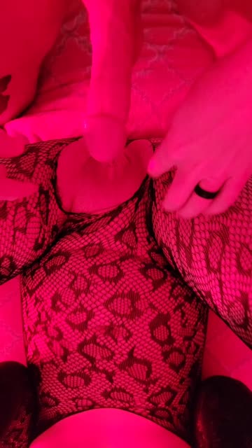 blowjob couple lingerie onlyfans pussy homemade 