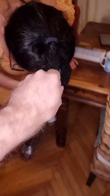 tiktok nsfw video #105321