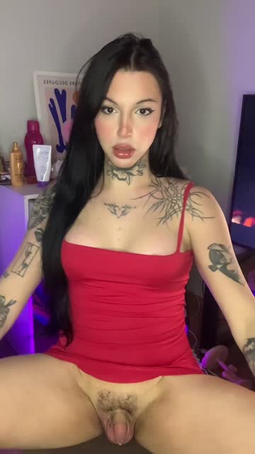 tgirl trap free porn video