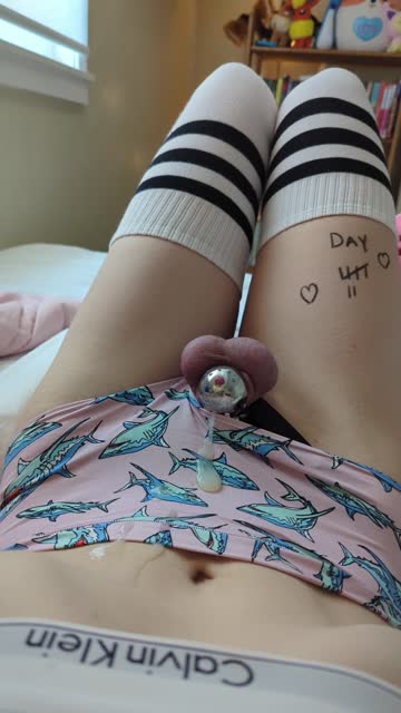 trans trap porn video