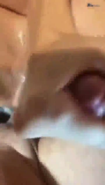 trans trap sex video