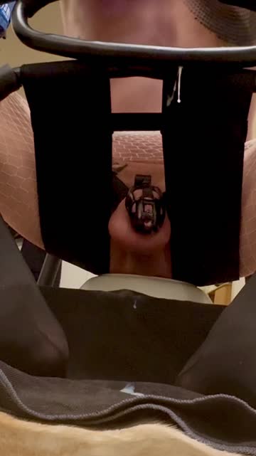 tgirl trans porn video