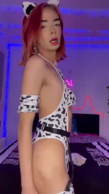 trans tgirl free porn video