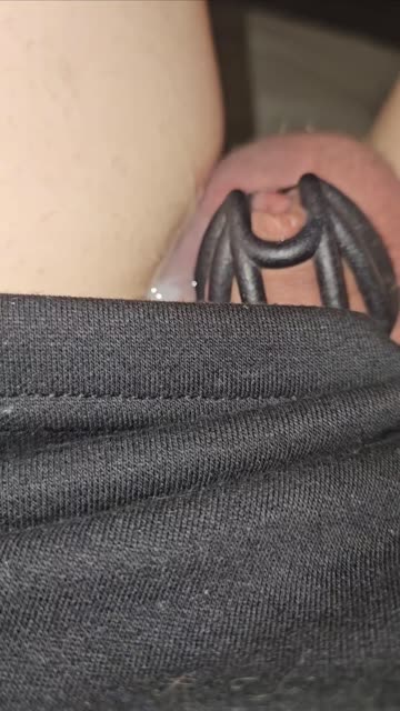 trans shemale porn video