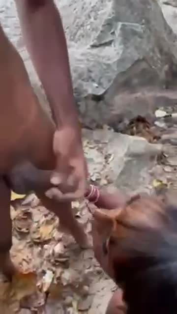 shemale tgirl xxx video