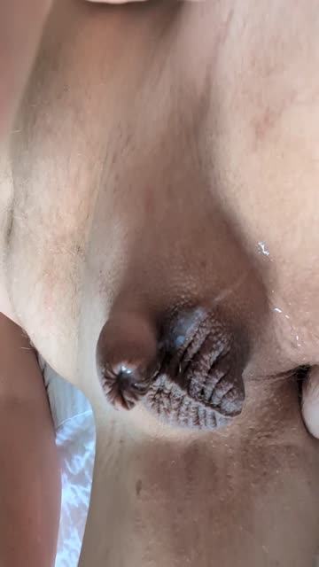 shemale trans hot video