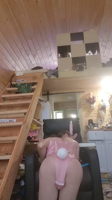 trans shemale porn video